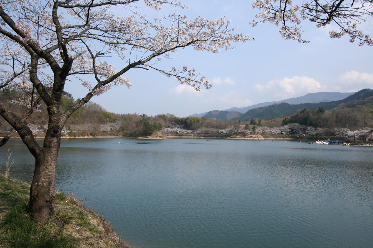 f0017530_21401619.jpg
