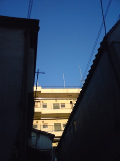 b0062337_042382.jpg