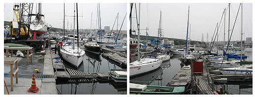 c0041039_854670.jpg