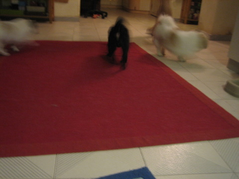 e0018143_0542944.jpg