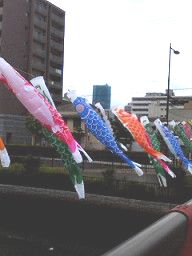 f0108557_89921.jpg
