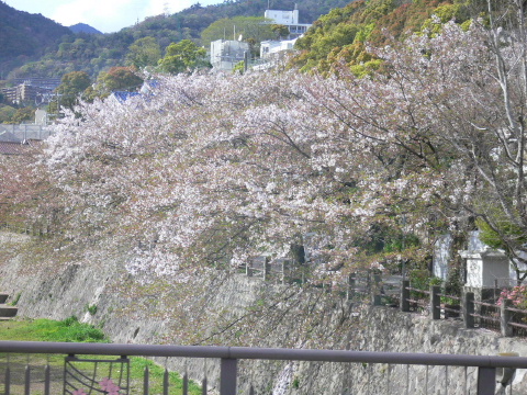 a0063364_10242.jpg