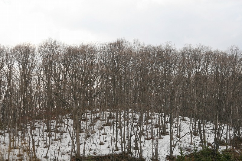 b0076972_1652366.jpg