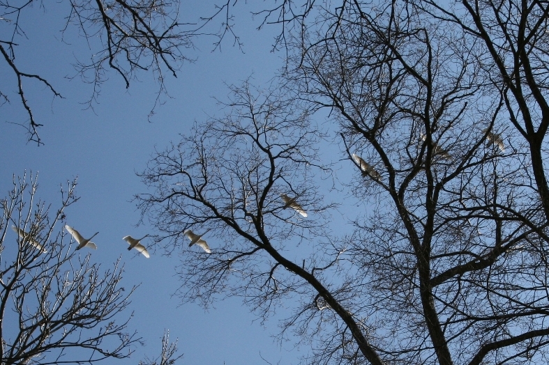 a0016775_2212056.jpg