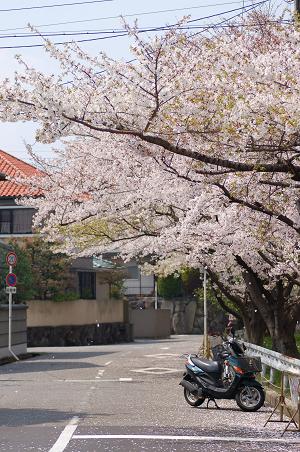 f0109677_120581.jpg