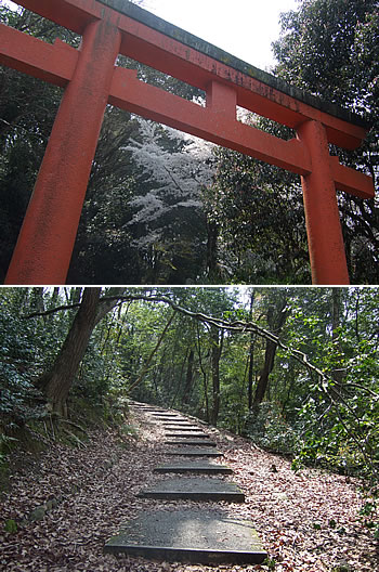 d0074578_2314327.jpg