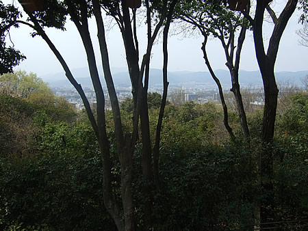d0074578_2324769.jpg