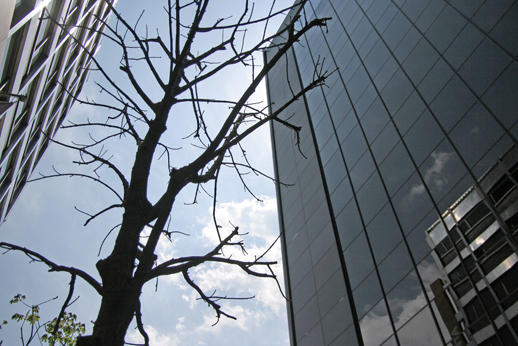 e0027083_21513754.jpg