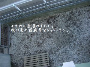 b0000885_6265338.jpg