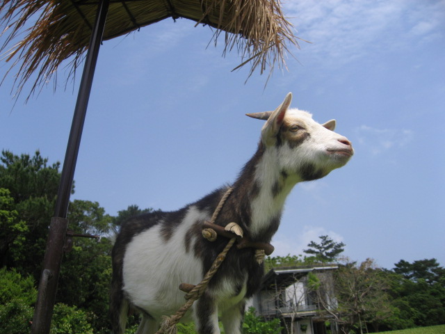 f0129187_1858616.jpg