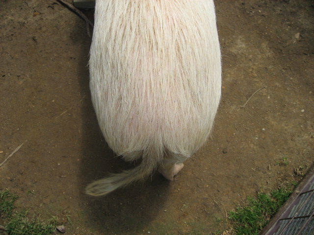 f0129187_1923038.jpg