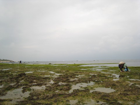 f0093592_1603675.jpg