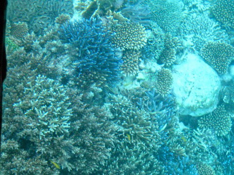 f0093592_1632973.jpg