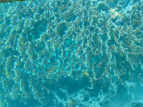 f0093592_163683.jpg