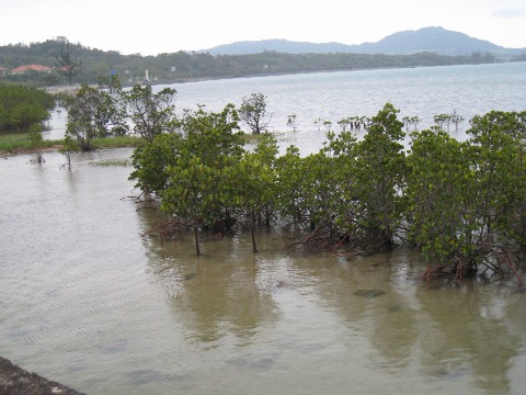 f0093592_165118.jpg