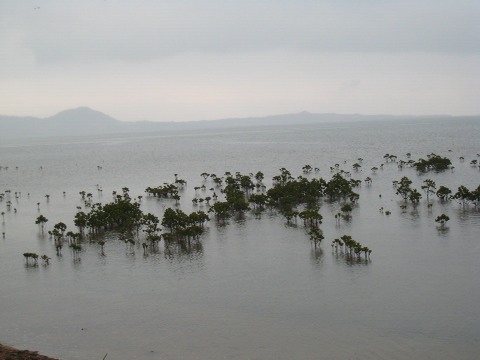 f0093592_1652462.jpg