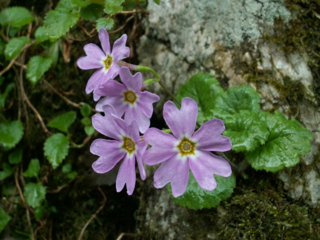 b0039898_23322045.jpg