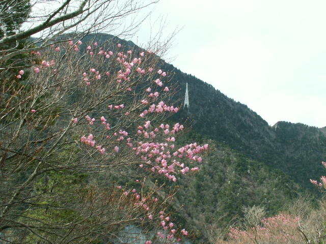 b0039898_2332482.jpg
