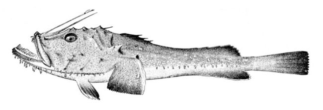 a0014299_1075429.jpg