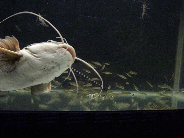 e0010301_12574677.jpg