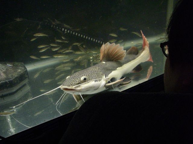e0010301_12592510.jpg
