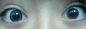 c0046316_1522515.jpg