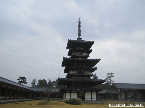 d0005621_031862.jpg