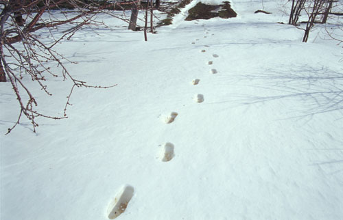 c0057224_122579.jpg