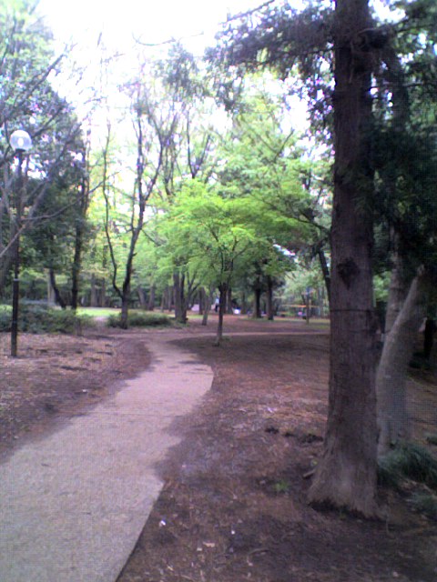 d0009828_152415100.jpg