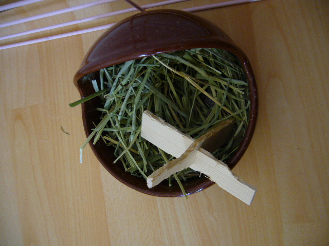 d0089329_20565047.jpg