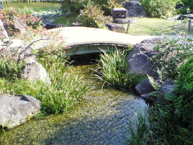 e0064133_119133.jpg