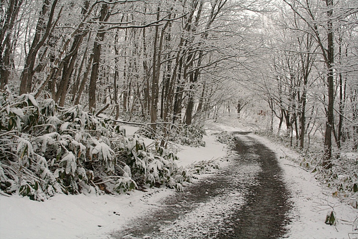 d0012134_12511327.jpg