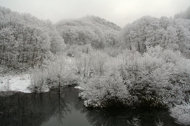 d0012134_1252153.jpg