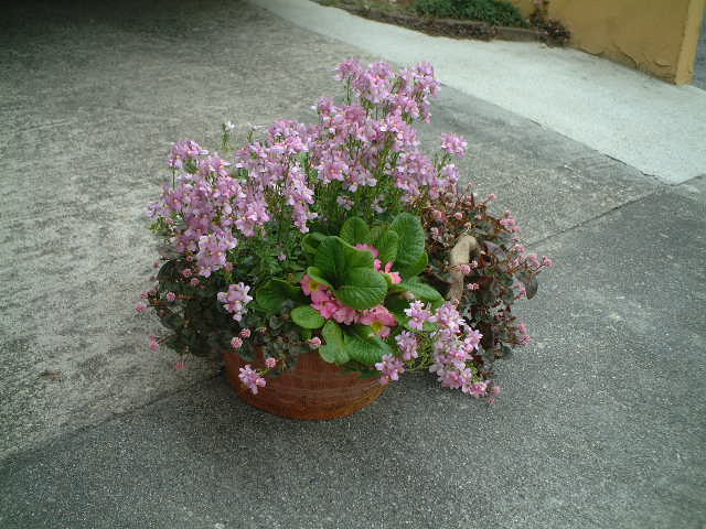 c0100049_14194493.jpg