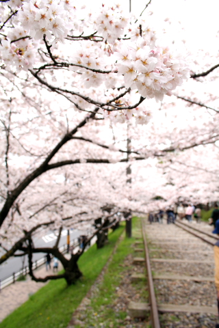a0024250_2135535.jpg