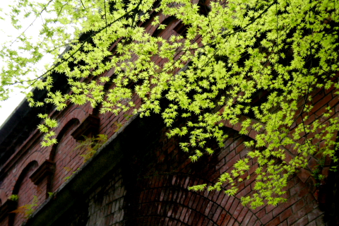 a0024250_2164837.jpg