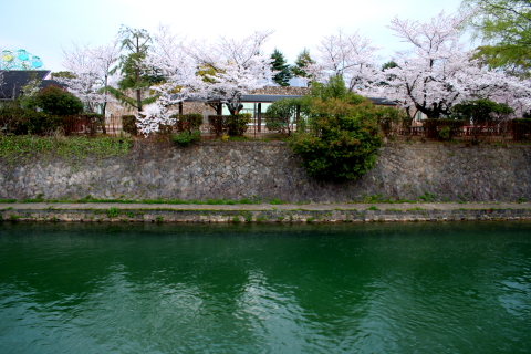 a0024250_2193519.jpg