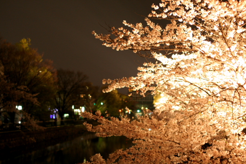 a0024250_22009.jpg