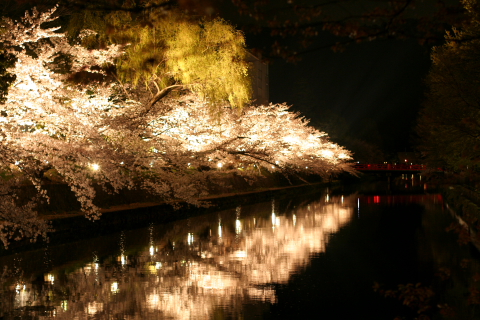a0024250_220123.jpg