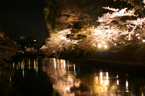 a0024250_2202457.jpg