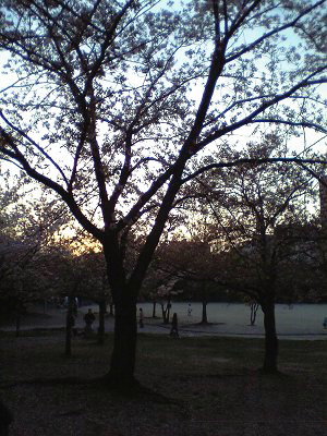 c0043751_1654059.jpg