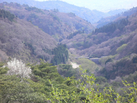 a0063364_23164359.jpg