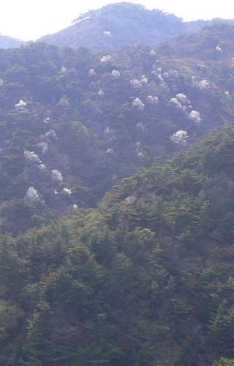 a0063364_2351769.jpg