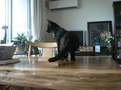 f0086169_1010474.jpg