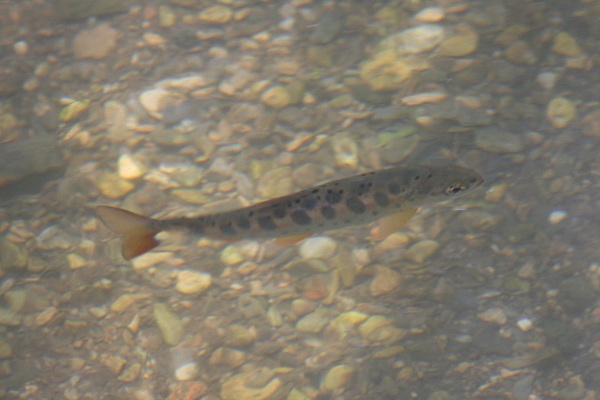 b0084270_085394.jpg
