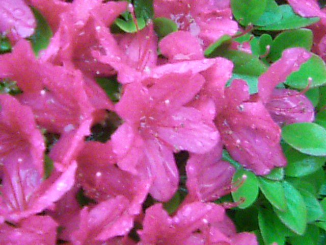 b0071980_9442520.jpg