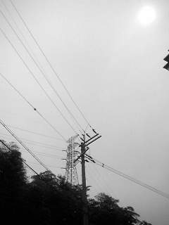 f0100480_12352717.jpg