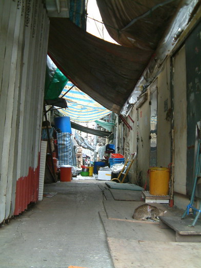 d0112881_136468.jpg