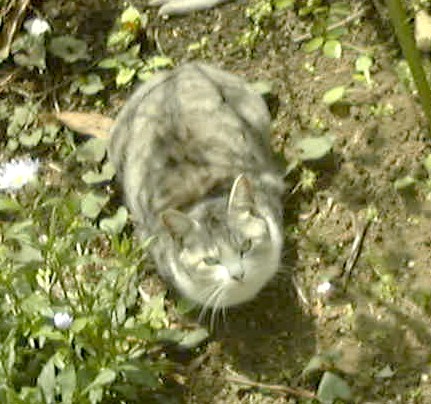 f0039281_1142386.jpg