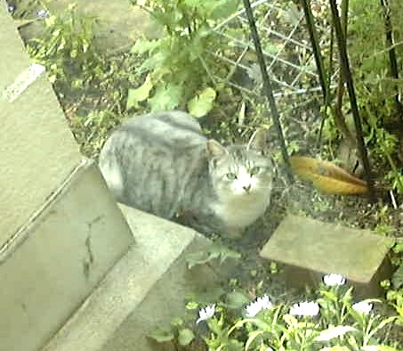 f0039281_1142481.jpg